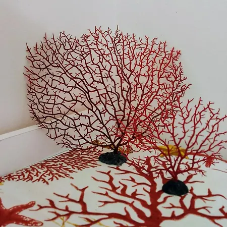 펜션 Attico A Sul Mare 갈리폴리